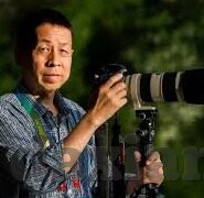 超碰成人视频在线-探索成人内容平台的边界与影响