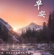 成人看的视频-成人世界的一扇窗，探索视频内容的多元与界限