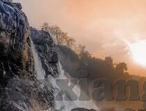 成人无码免费一区二区三区-成人无码免费一区二区三区,网络世界的灰色地带与个人选择