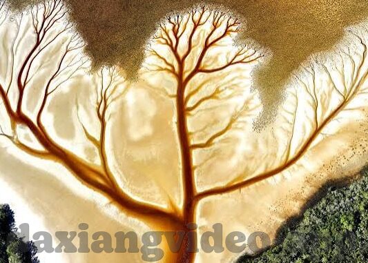 麻豆视传媒-麻豆视传媒，创新视界下的内容创意与文化交流