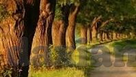 日韩黄色av免费看-探索成人娱乐的灰色地带，日韩黄色AV的免费观看现象